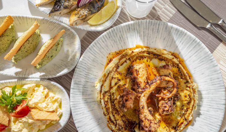 Delicious fine dining seafood platter featuring grilled octopus and fresh sides served on elegant tableware.